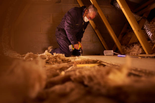 Best Residential Insulation in Coronita, CA